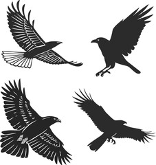 Fototapeta premium Four birds of prey in flight eagle hawk