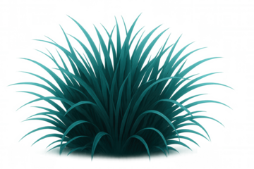 Lush teal grass growing against transparent backdrop, providing clean graphic element for creative digital design projects