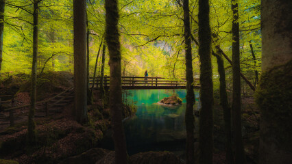 girl at morning in the forest on the lake blausee in Switzerland