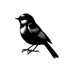 Obraz premium Charming Bulbul Bird Vector Design