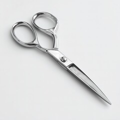 Obraz premium Stainless steel scissors on white background