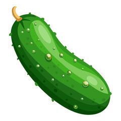 cucumber isolated on white