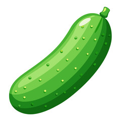 vector illustration of a cucumber