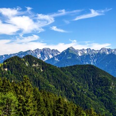 Obraz premium Mountain vista, lush forests, clear blue sky