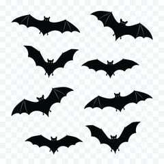 Abstract geometric design with vibrant color palette and clean typography