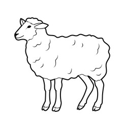 Farm animal. Sheep. Outline illustration, isolated on white background, design elements