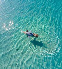 Pig swimming in clear tropical water wearing a shark costume, funny and surreal animal concept