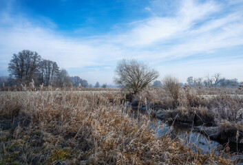 Winter landscape at the river Paar