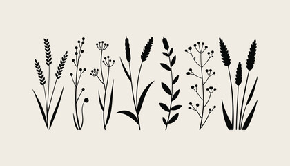 Obraz premium Set of Wild Botanical Plant Silhouettes – Floral Vector Elements in Minimal Style for Nature, Decoration, Packaging, and Vintage Design Use.