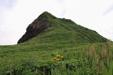 春の佐渡島。大野亀