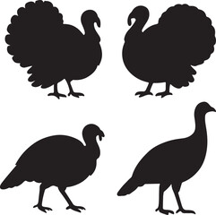 Set of Turkey Bird Silhouette Vector Illustrations