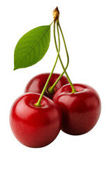 Fresh Organic Cherries with Leaf – Isolated Ripe Red Fruits on Transparent Background