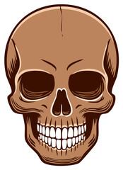 Fototapeta premium Detailed Brown Human Skull Illustration with Grinning Teeth and Dark Eye Sockets