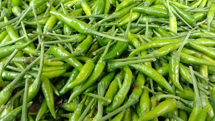 A close-up of green chilies, highlighting their fresh green color and smooth texture. Fresh agricultural produce. High Angle.