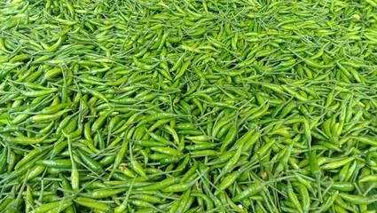 A close-up of green chilies, highlighting their fresh green color and smooth texture. Fresh agricultural produce. High Angle.