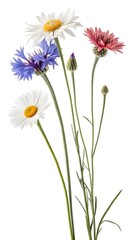An elegant and vibrant collection of flowers.
