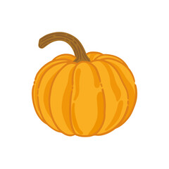 Pumpkin autumn hand drawn, hand painted pumpkin vector with isolated transparent background.
