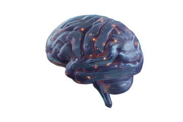 Futuristic Brain with Digital Circuit Patterns, Angled Perspective, AI Innovation