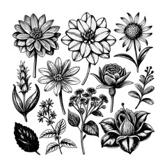 Flowers on a black and white Luxury botanical background with trendy wildflowers and minimalist flowers for wall decoration or wedding.