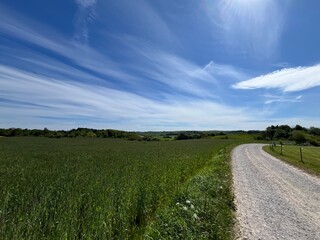 country road in the field