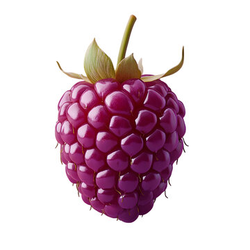 A photo  of Sea Grape (Coccoloba uvifera) showcasing vibrant natural colors and detailed textures  bring out its clustered organic structure