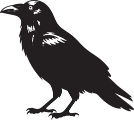 Obraz premium Black crow vector icon, crow silhouette