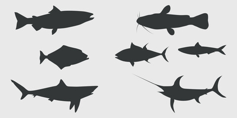 a set of silhouettes of seven different types of fish on a gray background. Among them, you can recognize the following types: salmon, catfish, angelfish, tuna, mackerel, shark, and swordfish.