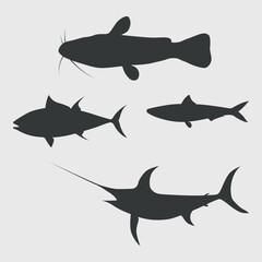 a set of silhouettes of four different types of fish on a gray background. Among them can be recognized: catfish (with a mustache), tuna, mackerel and swordfish (with a long sword-like snout).
