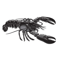 black and white silhouette vector of a lobster
on a white background