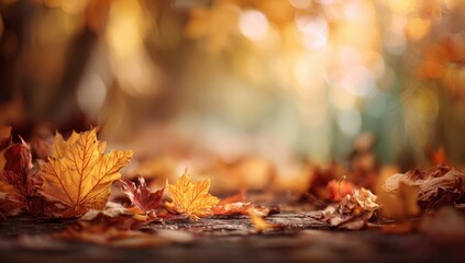 A serene autumn scene in a park featuring blurred colorful leaves on the ground and a soft bokeh background, capturing the peaceful beauty of fall.