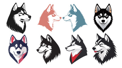 Fototapeta premium Husky Dog Illustration Vector Graphic Design