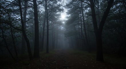Obraz premium A path winds through a misty forest sunlight peaking at the end Tall trees line the trail