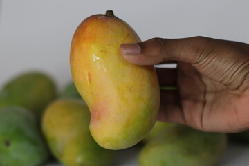 Raseeli mango in hand with green mangoes behind—South Asian fruit symbolizing ripeness and contrast