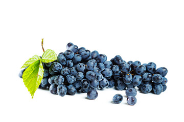 Bunch of blue grapes with leaves isolated on white background.