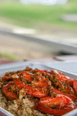 Garlic Shrimp Plate with Rice in Hawaii

