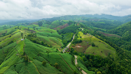 beautiful mountain in rain season
