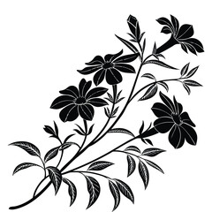 Silhouette of a Flowering Branch with Trumpet- Shaped Flowers and Leaves on White botanical flora