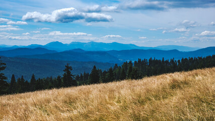 Hala Rysianka, Beskid Żywiecki © Aleksandra