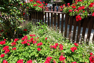 Hahndorf, South Australia, Australia - Shops and building in Hahndorf, South Australia, Adelaide, German village 