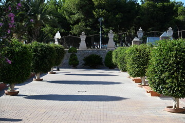 piękny deptak w parku kurzym w Torrevieja zielone krzewy palmy © Miroslaw