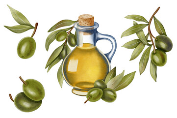 Hand drawn watercolor olive oil bottle with olives and leaves. Set olive branches, leaves and fruits. For fabric, wrapping paper, scrapbooking, packaging design, kitchen, menu.