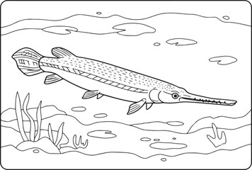 Black and White Coloring Page Illustration of a Longnose Gar Fis