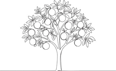 Obraz premium Elegant continuous line drawing of a citrus tree with ripening f