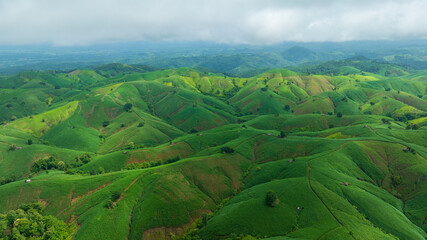 beautiful mountain in rain season