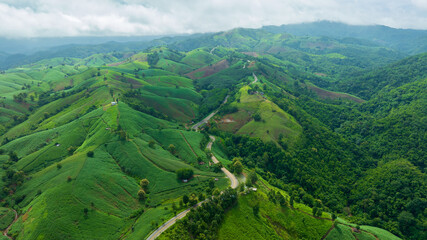beautiful mountain in rain season