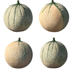 Fresh Cantaloupe Melons Displayed Isolated Multiple Fruits