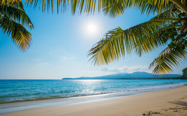 Fototapeta premium Tropical Beach Paradise with Palm Trees and Turquoise Sea | Summer Vacation and Travel Advertising