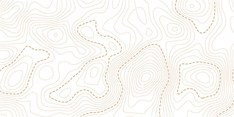 Topographic map pattern background vector. Abstract mountain terrain map background with abstract shape line texture