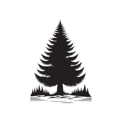 Douglas Fir Evergreen Conifer Tree Vector Design.