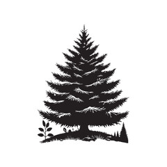 Douglas Fir Evergreen Conifer Tree Vector Design.